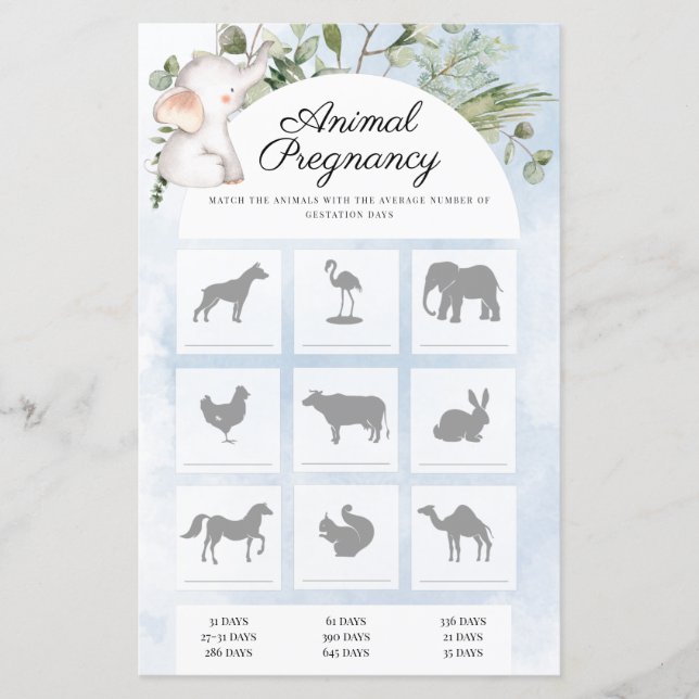 動物妊娠少年の赤ちゃんシャワーゲーム (正面)