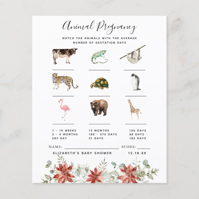 動物妊娠 |赤ちゃんシャワーゲーム (正面)