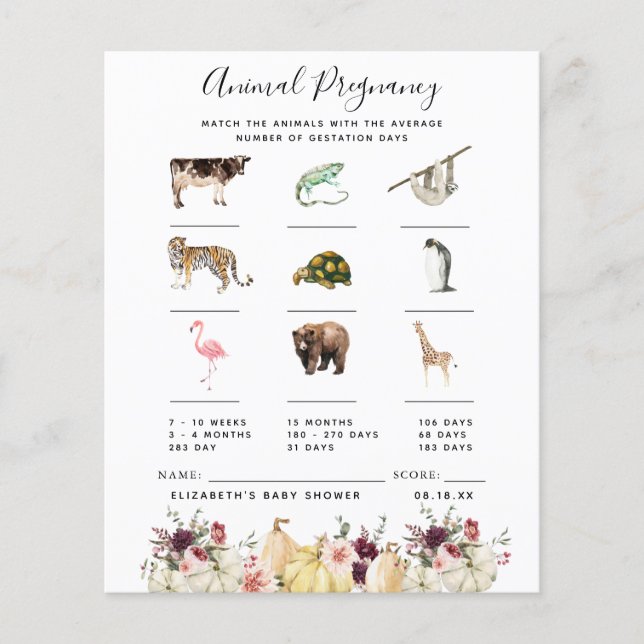 動物妊娠 |赤ちゃんシャワーゲーム (正面)