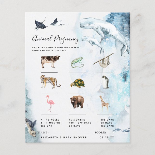 動物妊娠 |赤ちゃんシャワーゲーム (正面)
