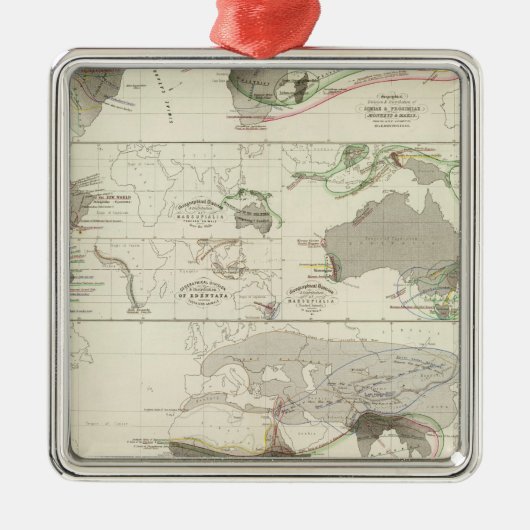 動物学の地理学 メタルオーナメント (正面)