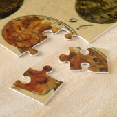 動物学スケッチヴィンテージシーシェルジグソーパズル ジグソーパズル (側面)