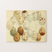動物学スケッチヴィンテージ鳥の卵ジグソーパズル ジグソーパズル (横)