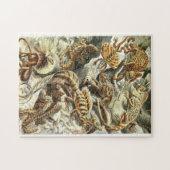 動物学的スケッチヴィンテージリザードジグソーパズル ジグソーパズル (横)