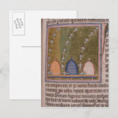 動物寓話集3の曲げられたライン ポストカード (正面/裏面)