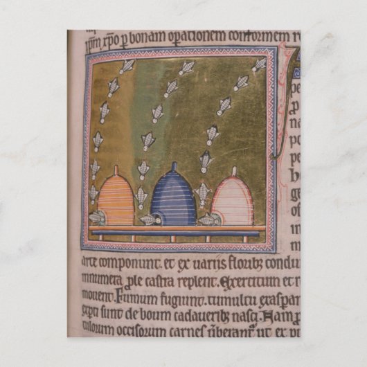 動物寓話集3の曲げられたライン ポストカード (正面)