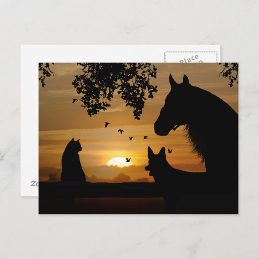 動物愛好家のはがき ポストカード (正面/裏面)