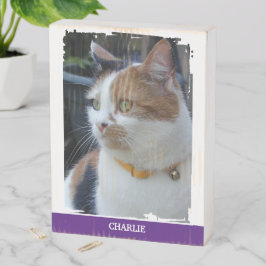 動物愛好家名purple cat photo rustic ウッドボックスサイン