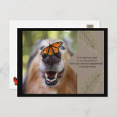 動物愛犬 ポストカード (正面/裏面)