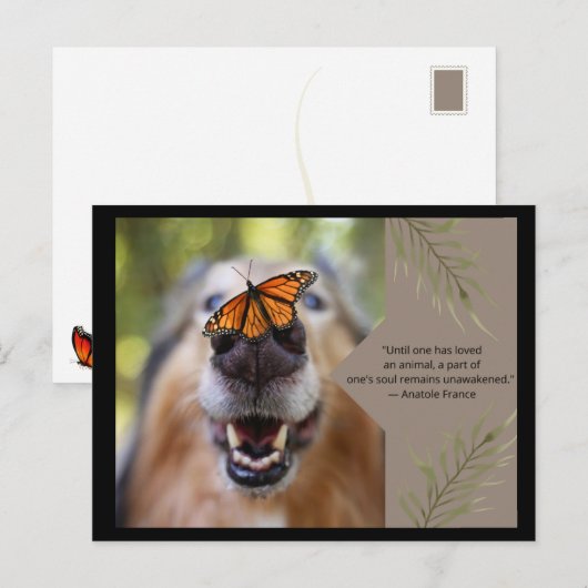 動物愛犬 ポストカード (正面/裏面)