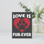 動物愛護シェルターラブキャットポードッグ恋人 ポストカード (スタンド正面)