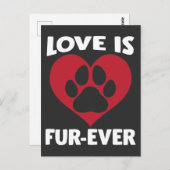 動物愛護シェルターラブキャットポードッグ恋人 ポストカード (正面/裏面)