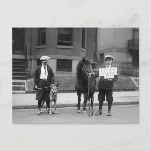 動物愛護週間， 1923 ポストカード (正面)