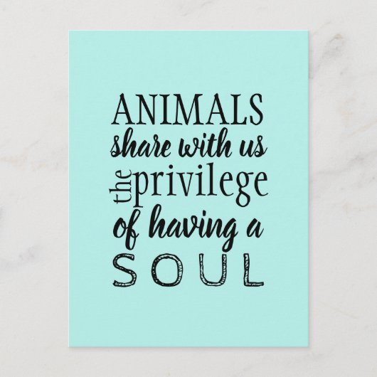 動物愛護 ポストカード (正面)