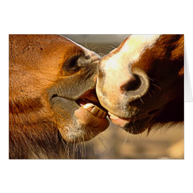 動物愛 (正面横)