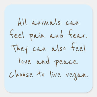 動物感じは我々と同じ スクエアシール