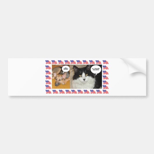 動物政治選挙2016 バンパーステッカー (正面)