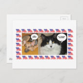 動物政治選挙2016 ポストカード (正面/裏面)