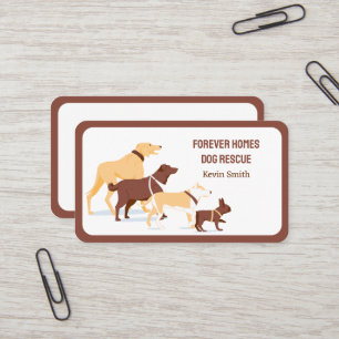 動物救助犬 名刺