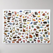 動物教育 ポスター (正面)