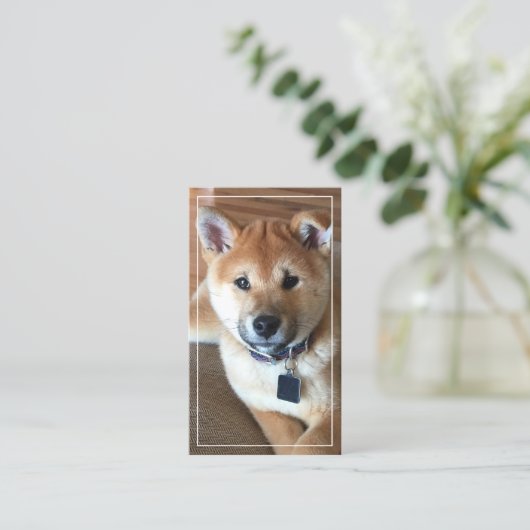 動物気にプロフェッショナル垂直方向の写真を追加 名刺 (スタンド正面)