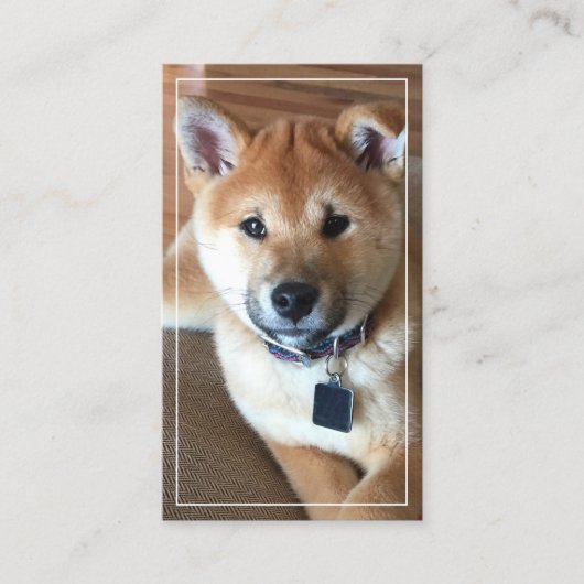 動物気にプロフェッショナル垂直方向の写真を追加 名刺 (正面)