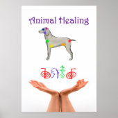 動物治癒 ポスター (正面)