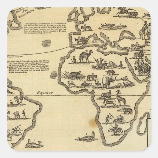 動物界 スクエアシール (正面)