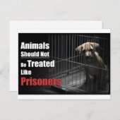 動物禁固葉書 ポストカード (正面/裏面)