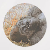 動物素晴らし混合 ラベル (デザイン1)