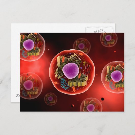 動物細胞の顕微鏡的見解2 ポストカード (正面/裏面)