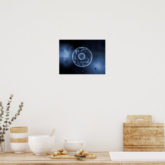 動物細胞の顕微鏡的見解3 ポスター (キッチン)