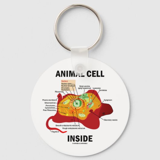 動物細胞内部（真核細胞生物学） キーホルダー (正面)