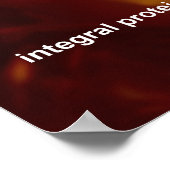 動物細胞 ポスター (角)