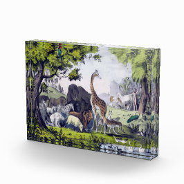 動物群 フォトブロック