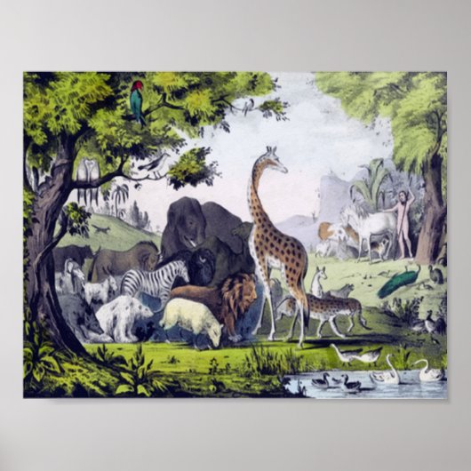 動物群 ポスター (正面)