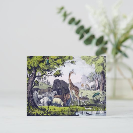 動物群 ポストカード (スタンド正面)