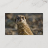動物群- Meerkatの名刺 名刺 (裏面)