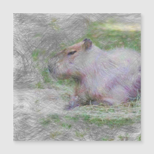 動物芸術的のカピバラ (正面)