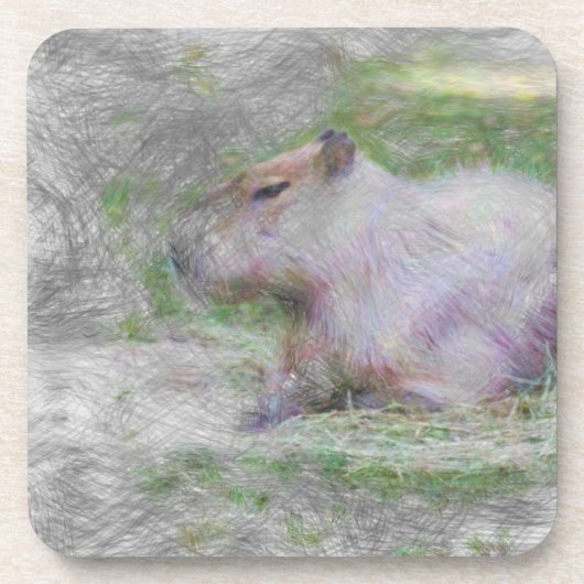 動物芸術的のカピバラ コースター (正面)