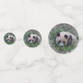 動物芸術的パンダ コンフェッティ (正面)