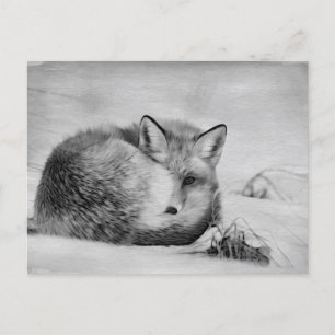 *~*動物芸術的赤キツネAp18アート野生動物 ポストカード