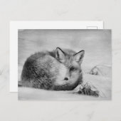 *~*動物芸術的赤キツネAp18アート野生動物 ポストカード (正面/裏面)