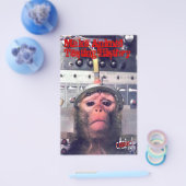 動物試験の終了 チラシ (シングル)