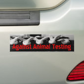 動物試験車のバンパーステッカーに対して バンパーステッカー (車上)