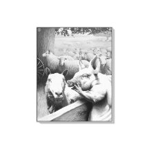 動物農場 - スクイーラー