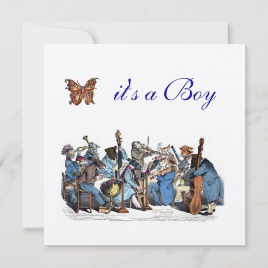 動物農楽団バタフライボーイ赤ちゃんシャワー 招待状 (正面)