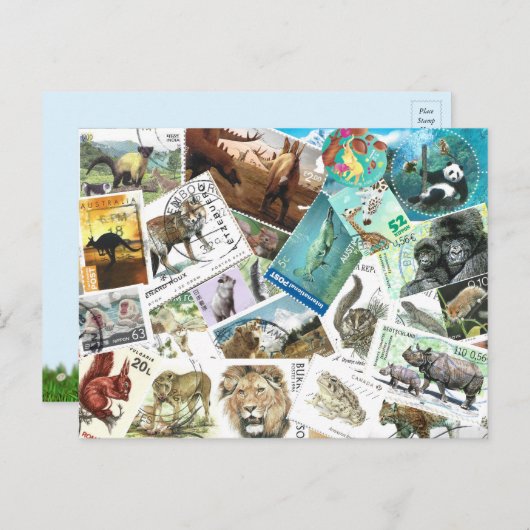 動物郵便切手はがき シーズンポストカード (正面/裏面)