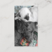 動物里親ボランティアかわいいペットの写真 名刺 (正面)