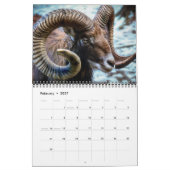 動物野生生命事務所ホームデスティニーの運命 カレンダー (2月 2027)